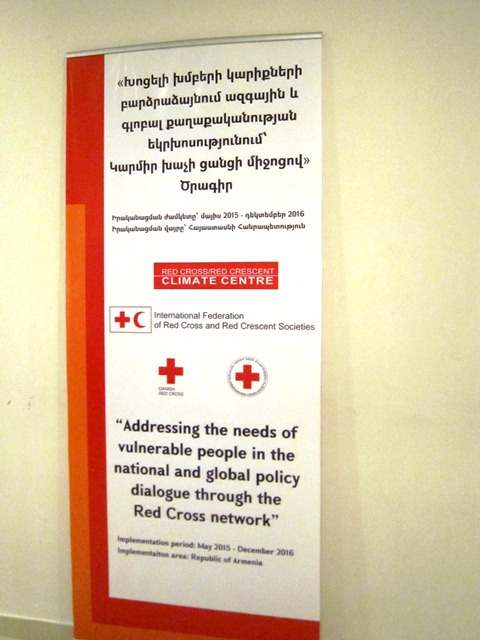 “Addressing the needs of vulnerable people in the national and global policy dialogue through the Red Cross network” Project